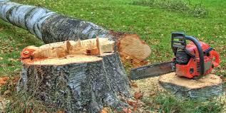 Best Firewood Processing and Delivery  in Chalmette, LA